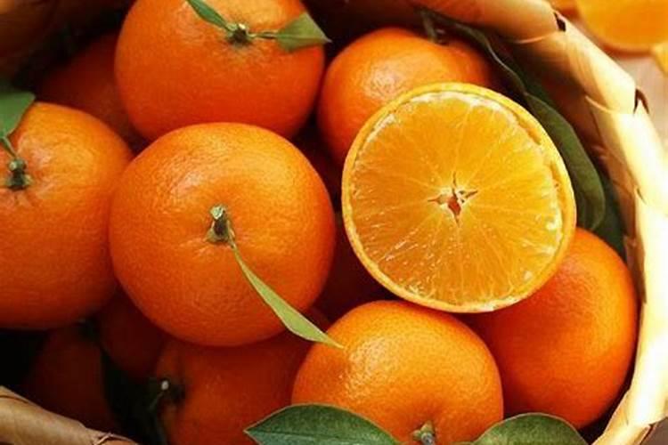 月季花施磷酸二氢钾肥料的正确用法