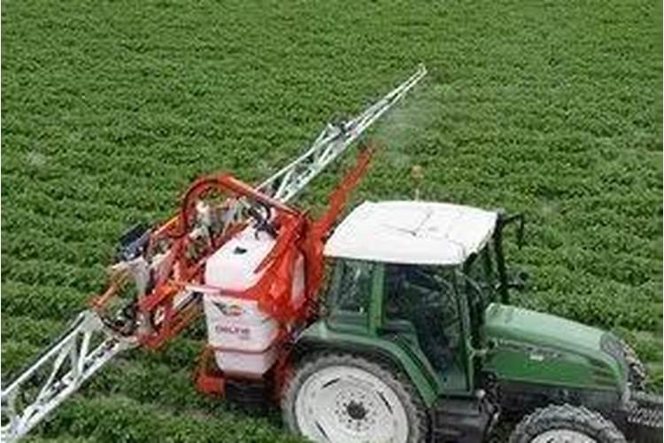 小麦底肥氮磷钾最佳配方