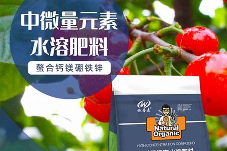 氨基肥微量原素液面肥哪个品牌好