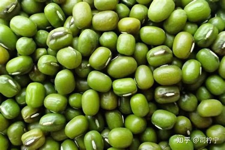 绿豆打什么药能高产和上什么肥料？