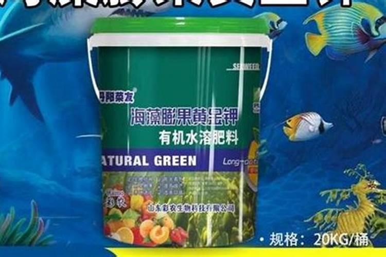 玫瑰花怎么种植,有什么条件!!!