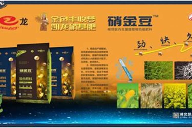 兰花春天什么时候施肥,施什么肥