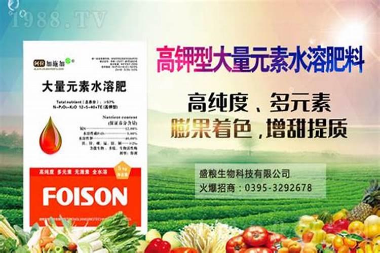 玉米3月份还能涨价吗