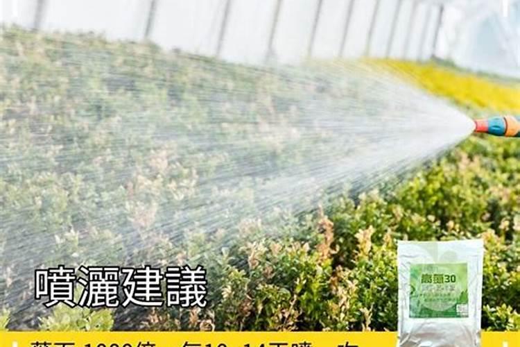 复合肥浇花兑水比例是多少