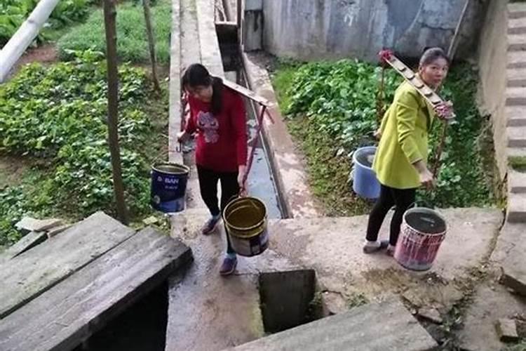 韭菜心叶发黄用什么农药