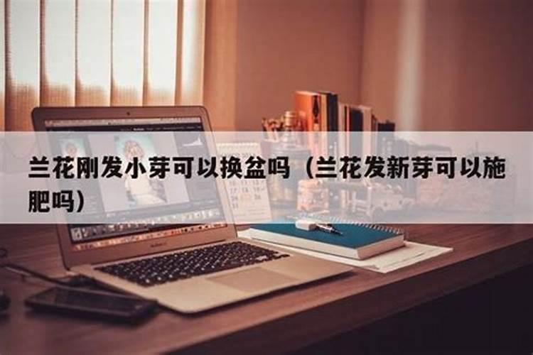 钾肥不能和什么混用