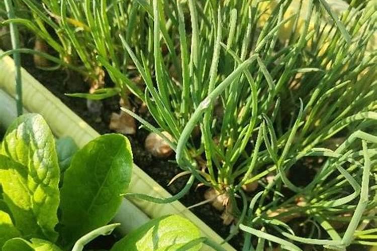 潍坊市信得生物科技有限公司是做什么的？