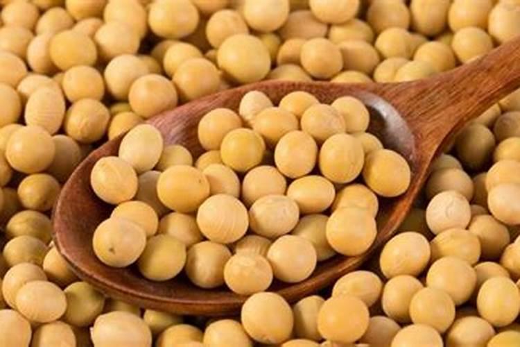 黄豆发酵后是什么肥料