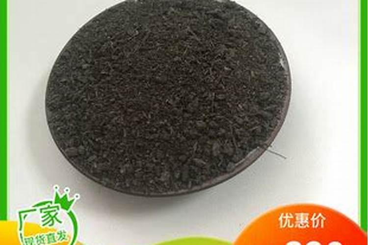 昙花不开花是什么原因