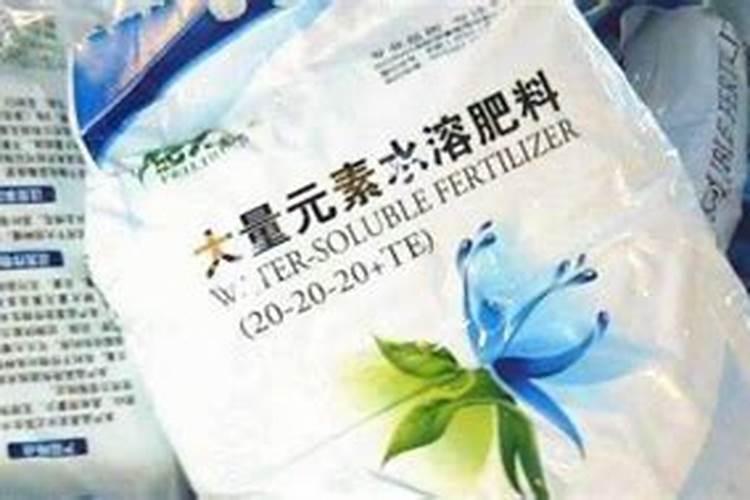金钻烂根怎么解决