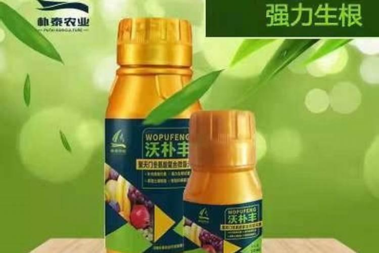 请问老师!柑橘树在什么时间施放磷肥最好？