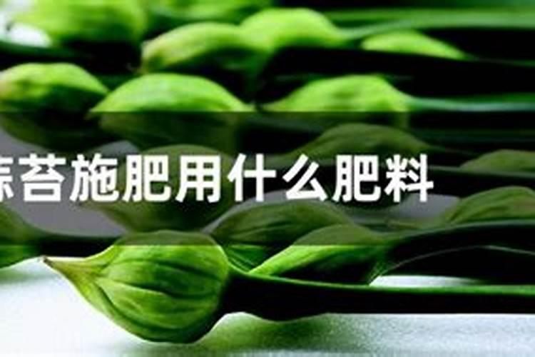 大蒜肥料严重烧根怎样补救,大蒜喜欢什么肥