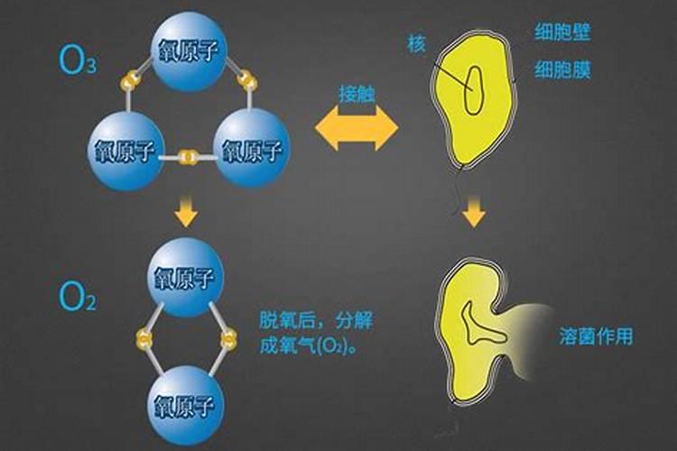 得了荨麻疹天天吃复合型维生素片有效吗