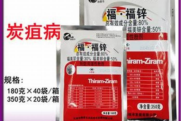 多肉观音莲怎样养让它快速的爆出小芽