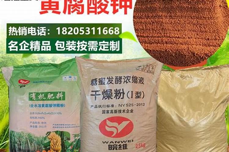 多肉能不能浇营养液