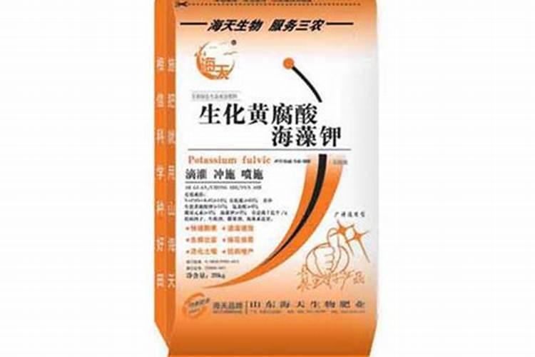 甘蔗叶淡黄色,不绿。