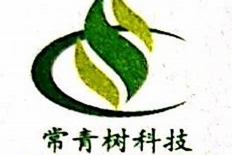【香樟树的作用】香樟树有哪些用途