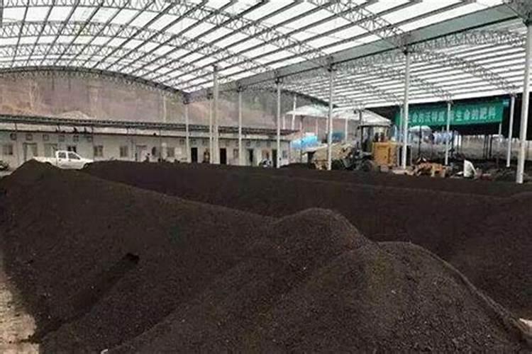 种植春玉米越来越多,种植春玉米良种加良有哪些方法？