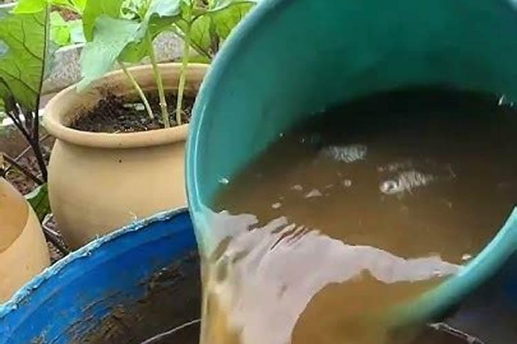 樱桃结果期冲施什么肥料好？樱桃膨果期用哪种水溶肥效果好？