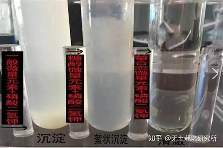 你了解钙肥吗,钙肥怎么选？什么时候用？怎么用？