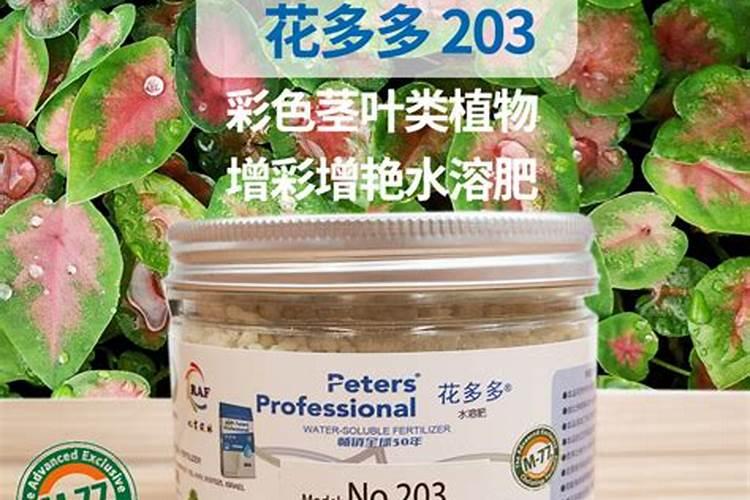 磷酸二氢钾在桃树上的使用方法