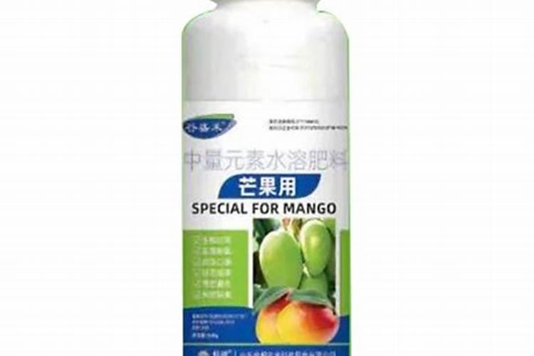 芒果树结果期怎样施肥