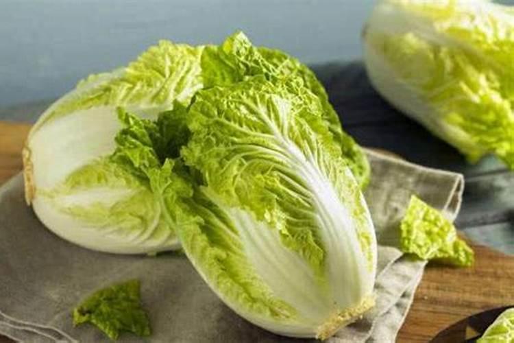 如何给蝴蝶兰喷叶面肥