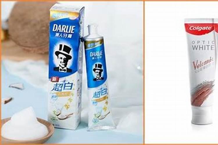 移栽前山茶花的修剪