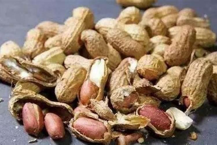 氮肥为主的有机肥是什么肥料