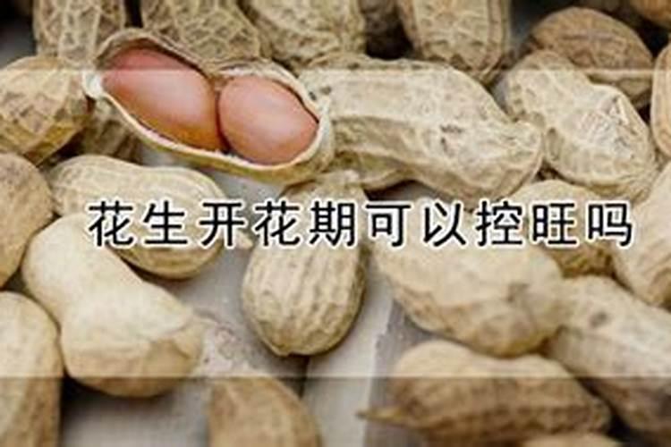 花生开花期叶面喷施磷酸二氢钾和铁肥氮肥行吗？