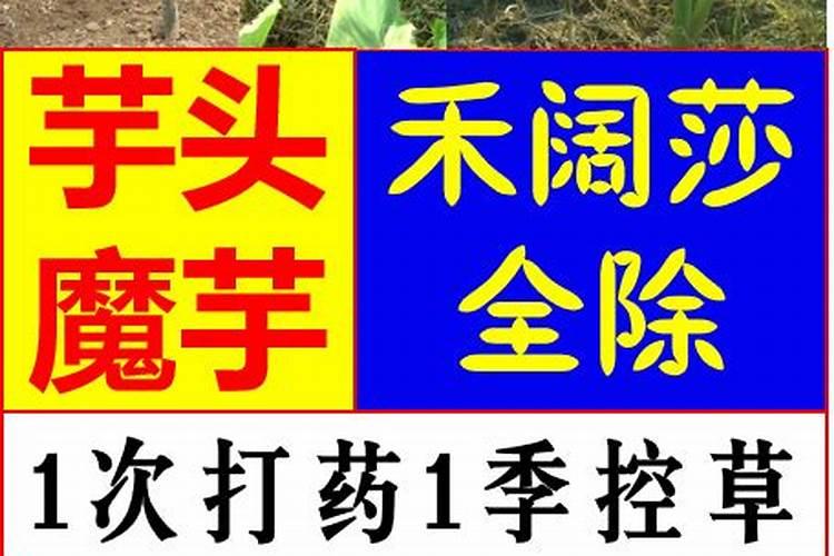 蔬菜叶面肥如何选择,怎样使用