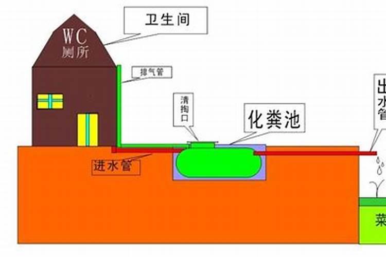 化粪池的粪水能直接当肥料浇番茄吗？