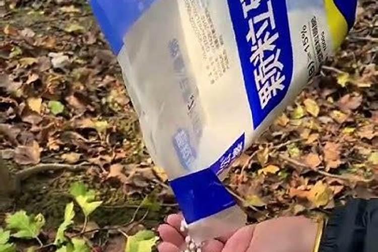 磷元素生理功能