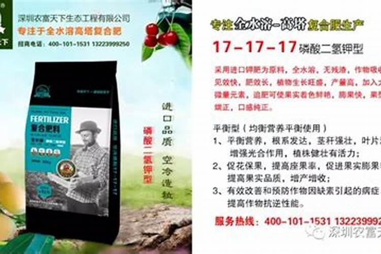 茶花用什么肥料好