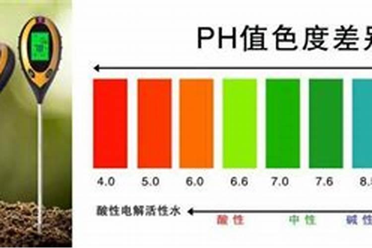 生理酸性肥料特点