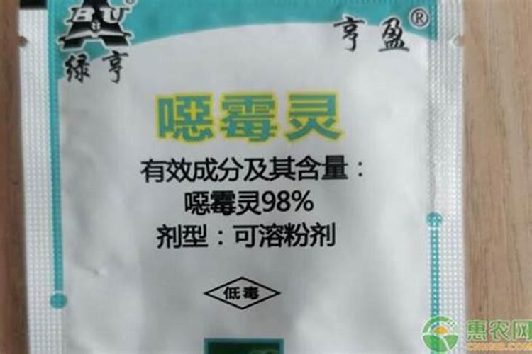 根腐病四大特效药