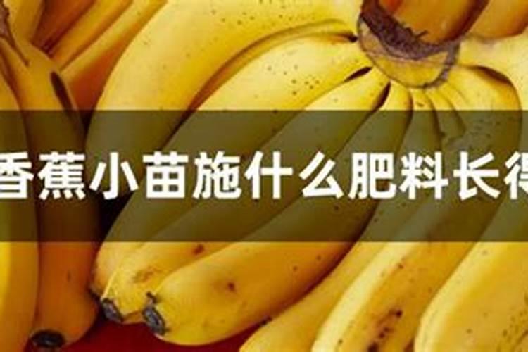 打完叶面肥多久可以打除草剂