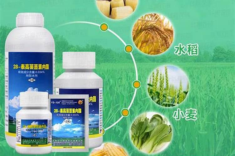 自制水肥一体化简单方法 自制水肥一体化简单方法是