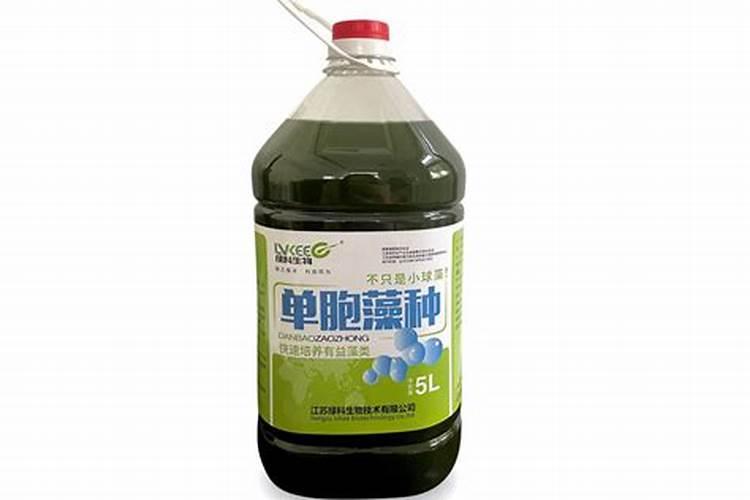 蔬菜打农药什么时间好
