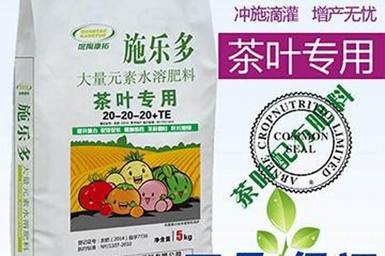 土壤土适合种什么植物