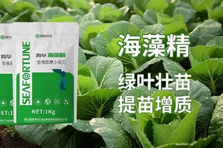 海藻精不能和什么肥料混用