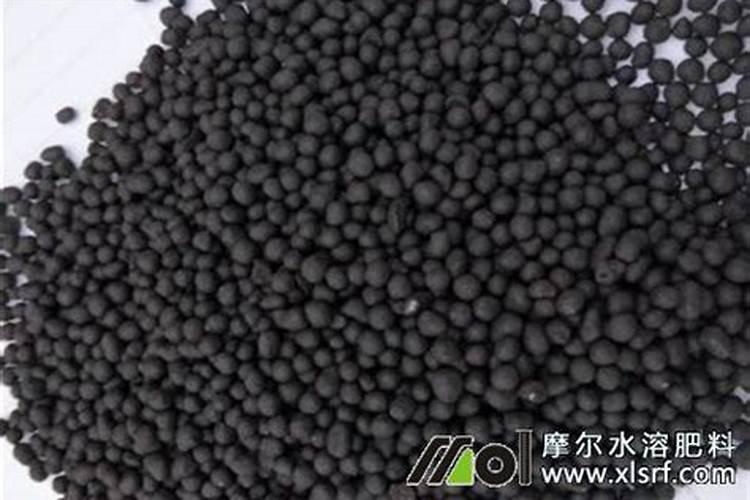 九叶青花椒苗定植施什么底肥好一点