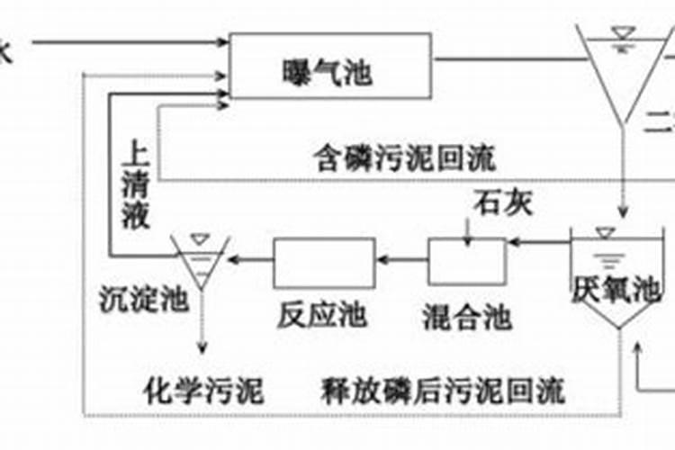 夏季高温季节水产养殖管理技术,要从哪五方面着手呢？