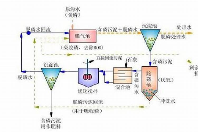 蟹爪兰使用什么肥？