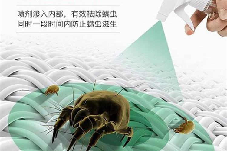 ...鸟尾巴毛一直长不出来,刚长出来的也是羽管包着就硬化了是什么...