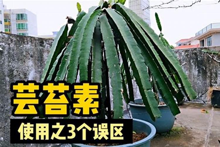 氮肥叶面喷施的浓度
