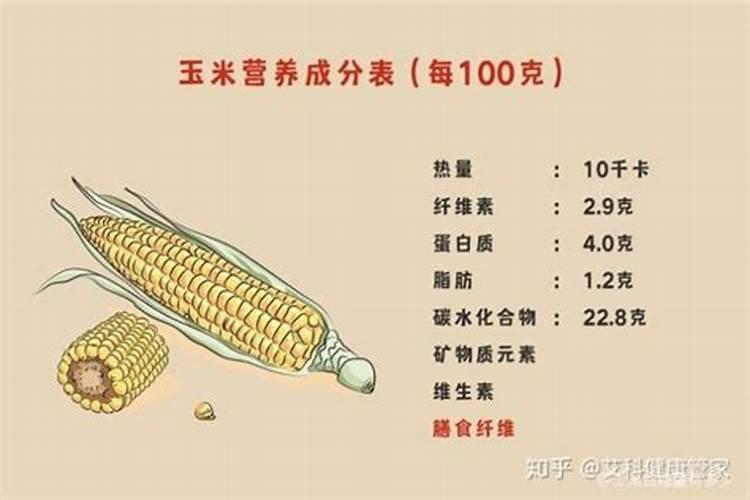 种玉米上什么复合肥当底肥？