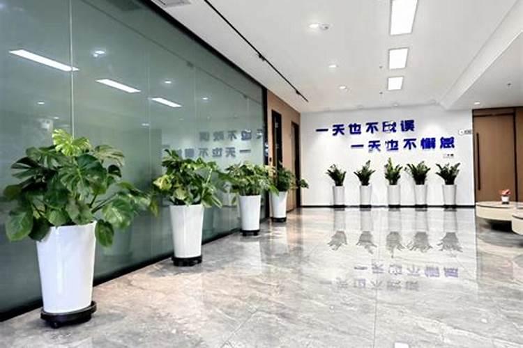 中国知名叶面肥生产厂家有哪些,那家做的比较好？