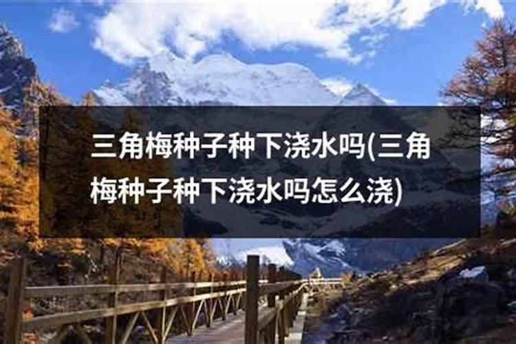 大蒜最忌讳的肥料
