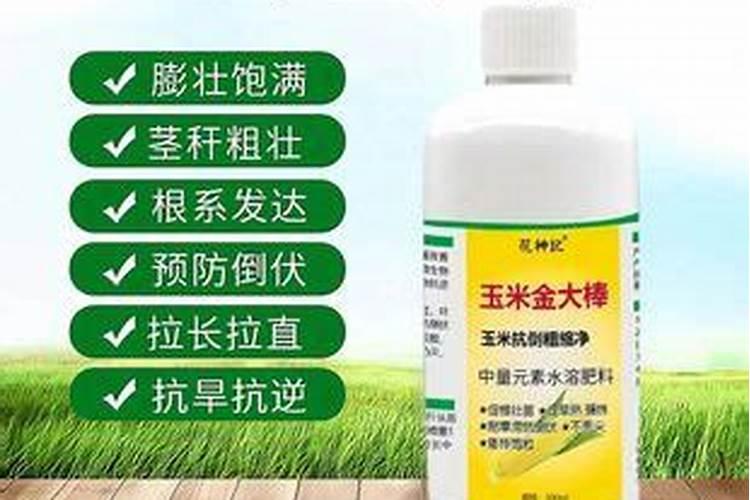 欧莱雅黑金水和松露水哪个好